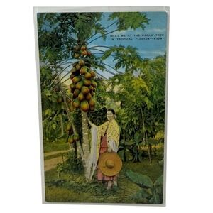 Vintage Linen Postcard Papaw Tree in Tropical Florida  Made in USA by EC Kropp